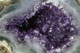 Purple Amethyst Geode with Polished Face - Uruguay #113838-1